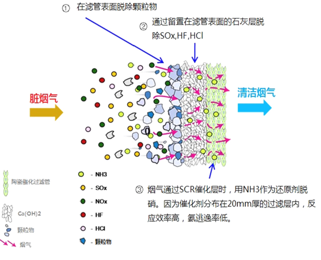 &#20197;&#35802;&#20026;&#26412;&#36194;&#22312;&#20449;&#35465;&#57;&#48;&#48;&#49;&#99;&#99;&#40;&#20013;&#22269;&#41;&#26377;&#38480;&#20844;&#21496;